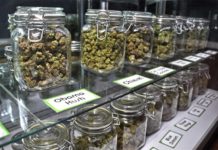 Dakota del Norte despenaliza el consumo de cannabis Dakota del Norte despenaliza el consumo de cannabis