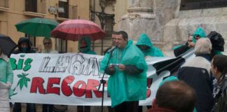 La legalización de la marihuana en Navarra, patata caliente para el Constitucional