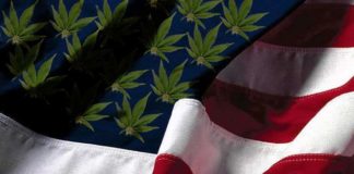 ¿Puede la marihuana terminar la guerra contra las drogas?