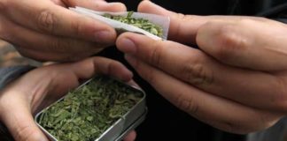 liando porro2
