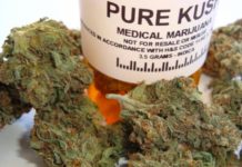 La ciudad de Buenos Aires, a un paso de reglamentar el cannabis medicinal medicinal7