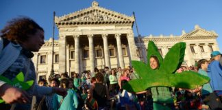 El Cannabis Recreativo en Uruguay. Las cifras de la industria
