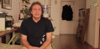 Los aliados de la euforia