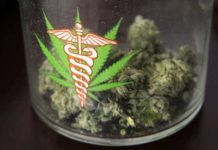 El consumo de cannabis se asocia con biomarcadores más bajos en pacientes con VIH Bote de marihuana