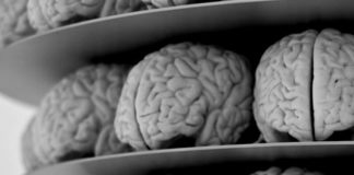 Beneficios de la marihuana para tu cerebro