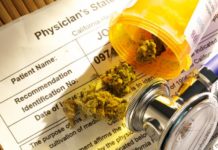 Autorizan uso del cannabis en Bolivia por segunda vez Autorizan uso del cannabis en Bolivia por segunda vez