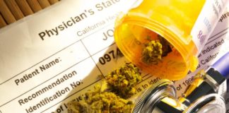La mayoría de los oncólogos pediátricos estadounidenses admiten el acceso al cannabis medicinal
