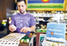Crear empleo “es una de las grandes virtudes” de la agroindustria del cannabis Crear empleo “es una de las grandes virtudes” de la agroindustria del cannabis