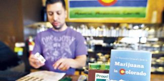 Crear empleo “es una de las grandes virtudes” de la agroindustria del cannabis