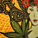 El cannabis en la tradición japonesa