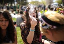 Cómo afecta el cannabis al organismo: uso recreativo y terapéutico Cómo afecta el cannabis al organismo: uso recreativo y terapéutico