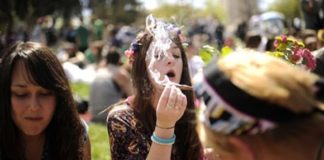 Cómo afecta el cannabis al organismo: uso recreativo y terapéutico