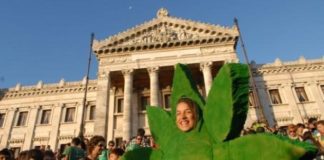 Holanda mira a Uruguay en materia de políticas de drogas