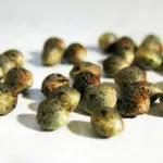 C&oacute;mo aumentar el porcentaje de hembras al cultivar semillas no feminizadas