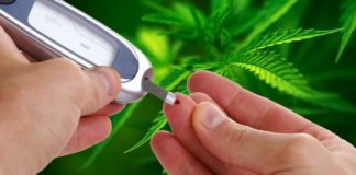 Según un estudio clínico la tetrahidrocannabivarina puede ser beneficiosa en la diabetes Tipo 2