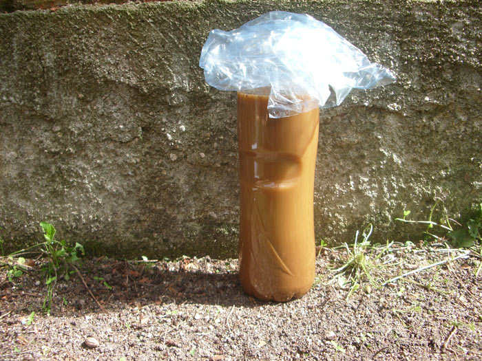 Jenkem casero, cosecha del autor