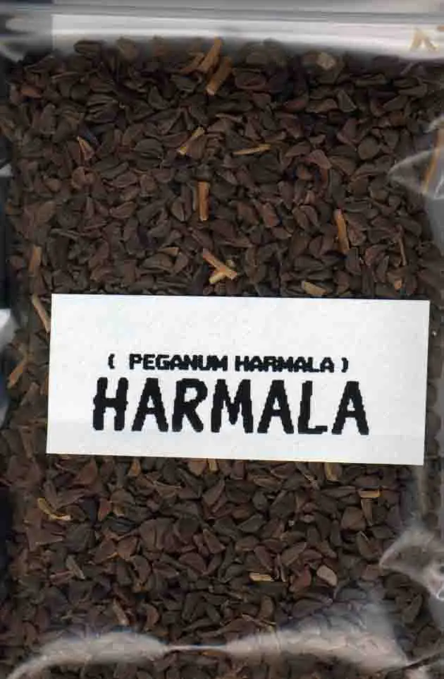 harmala semillas