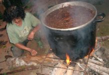 Ayahusca: Hazla tu mismo Ayahusca: Hazla tu mismo