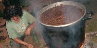 Así actúa la ayahuasca, el alucinógeno de moda en Ibiza