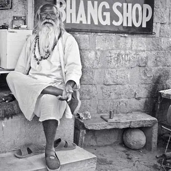 Bhang Shop