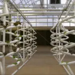 NFT- Sistemas de Pel&iacute;cula Nutriente (II)