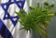 Israel: El gobierno quiere facilitar el acceso al cannabis medicinal Israel: El gobierno quiere facilitar el acceso al cannabis medicinal