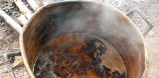 Preparando ayahuasca