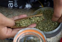 ¿Será París una ciudad test para la legalización del cannabis recreativo? ¿Será París una ciudad test para la legalización del cannabis recreativo?