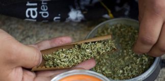 Uruguay: Aumentan control a empresas que produzcan marihuana
