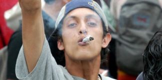 La Madrid, el pueblo argentino que busca legalizar el cannabis medicinal