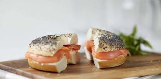 salmon