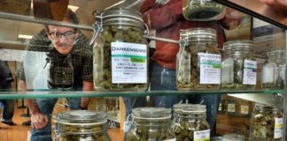 Cannabis Inc., hagamos negocios no la guerra