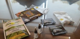 semilllas correo