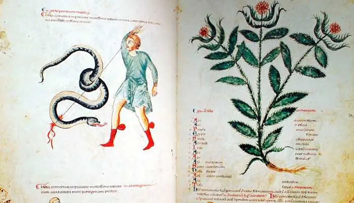 Libro de Medicina antigua