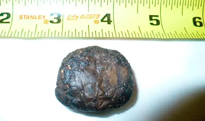 Piedrolo de hachis libanes de una pulgada de diametro