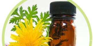 Cannabis: la belleza del futuro