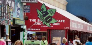 Michigan y Nevada, con mayor probabilidad de legalizar la marihuana