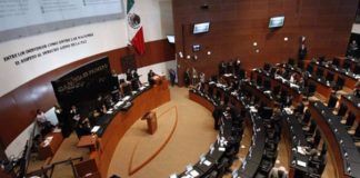 México: La lógica jurídica de la Sentencia Zaldívar sobre Cannabis