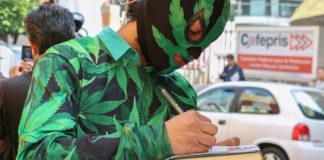 México: Recibe Cofepris 57 solicitudes para uso recreativo de marihuana