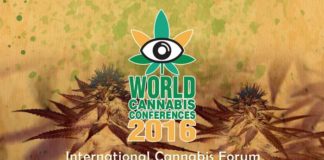 Científicos de todo el mundo pedirán en Cataluña legalizar la marihuana