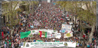 Marchan en Argentina pro legalización de marihuana