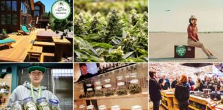 ¿Cómo conseguir cannabis como turista en Europa?