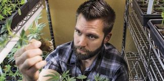 El defensor del cannabis en el corazón de EE.UU