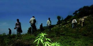 “El conflicto es producto de la prohibición, no del consumo de drogas”: Antonio Caballero