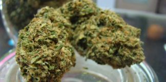 Legalización de marihuana corta el flujo de dinero de los carteles