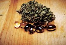 El uso del cannabis con fines medicinales en el mundo medicinal92