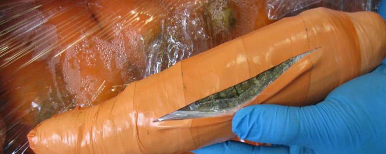 Cargamentos de zanahorias camuflando la marihuana.