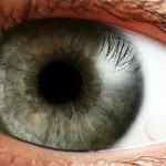 Usos terapéuticos del cannabis: cannabis y glaucoma Usos terapéuticos del cannabis: cannabis y glaucoma