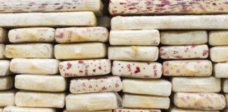 La Agencia Antidroga de EEUU pagó 25 millones a solo ocho informantes en un periodo de cinco años cocaina alijo
