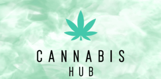 Cannabis Hub y el primer Foro de Cultura Cannábica en México